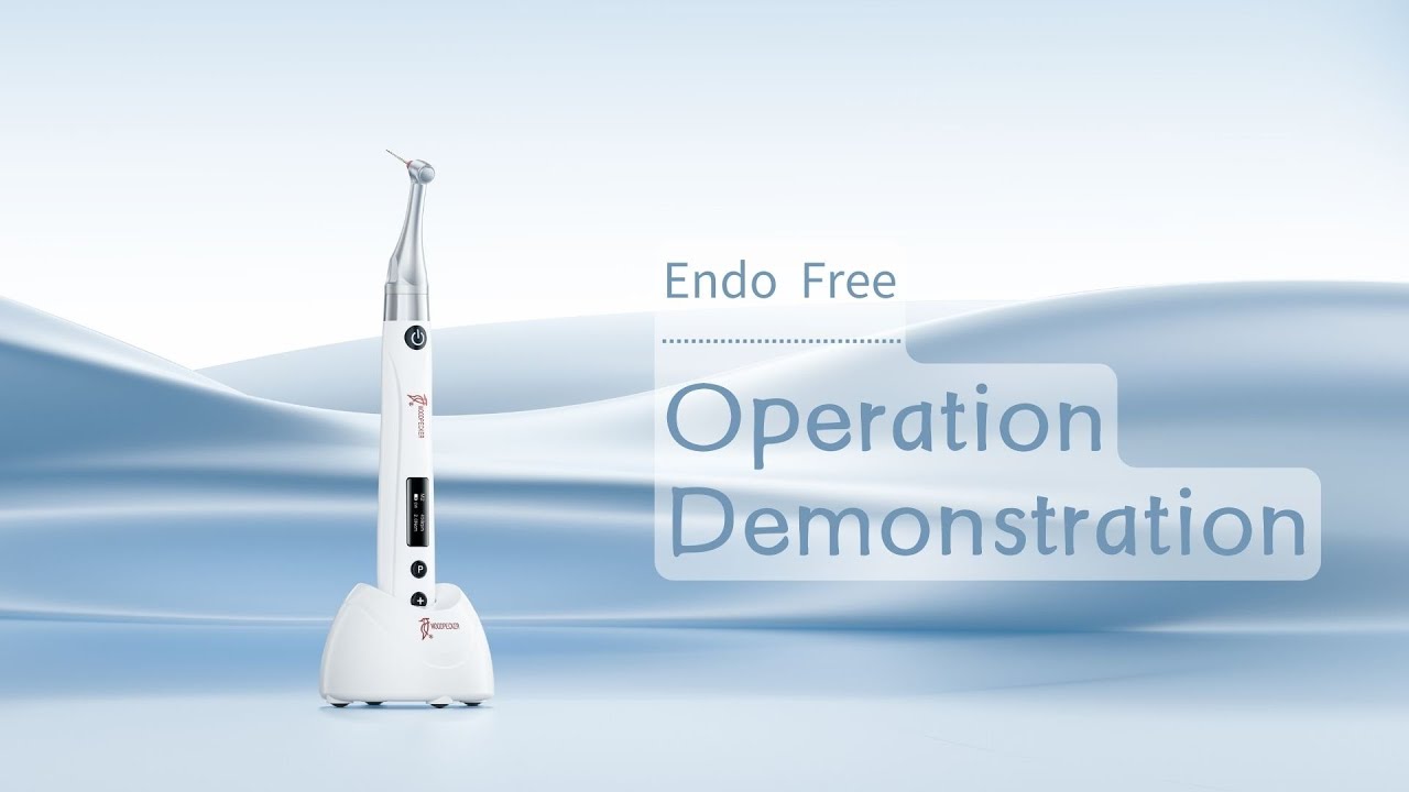 Load video: Moteur Endo Free - sans fil - WoodPecker