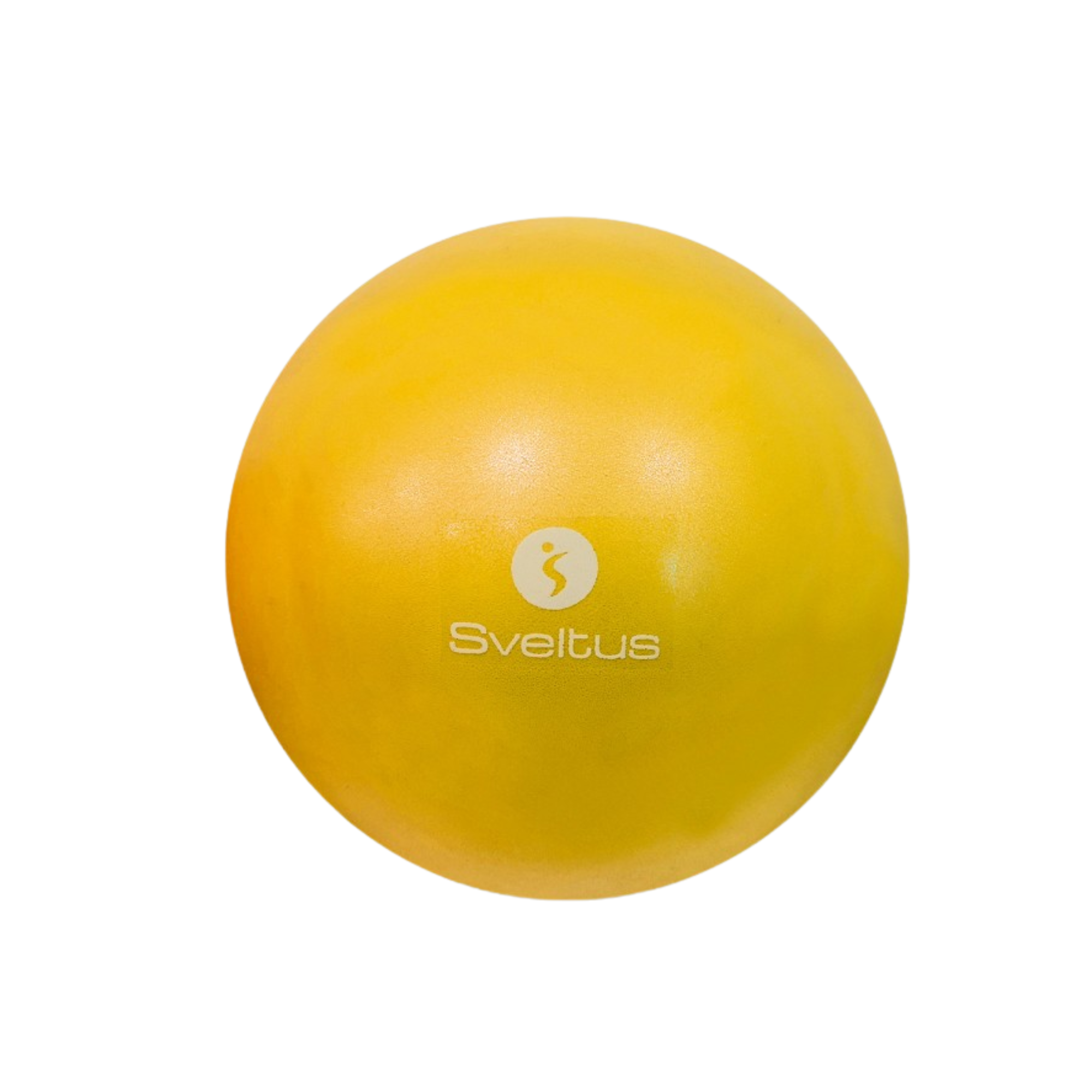 Ballon pédagogique - Plusieurs coloris - Ø 22/24 cm - Sveltus