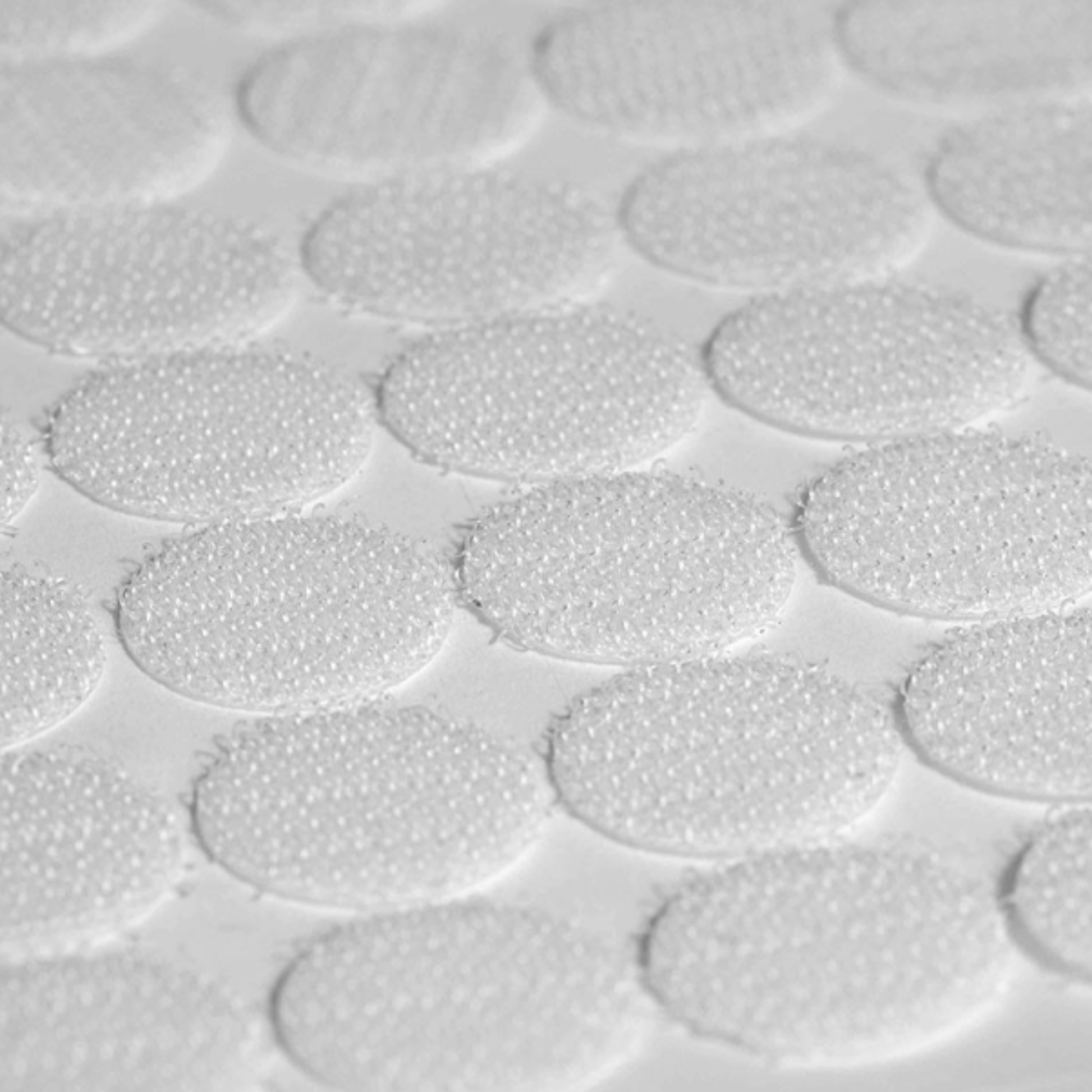 Pastilles Adhésives - Crochets agrippants - Boîte de 150 pastilles - Velcro - My Médical