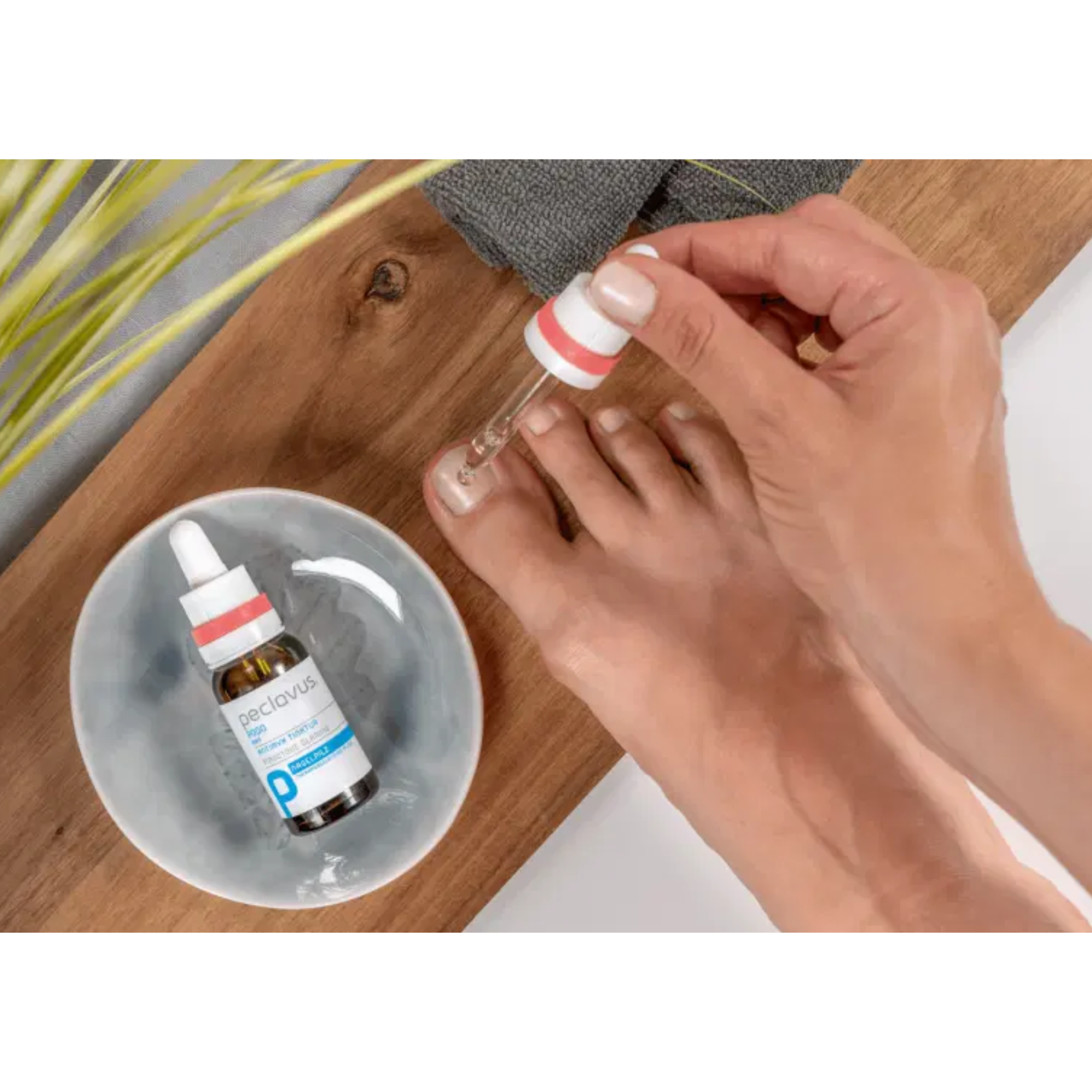 AntiMYX Tincture - Peclavus